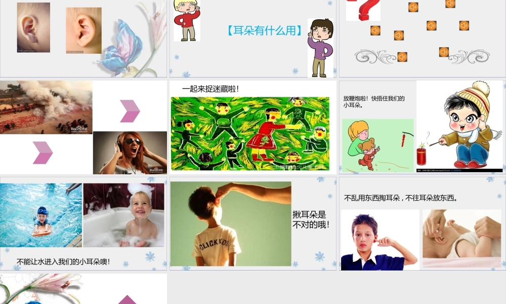 中班健康《小小耳朵本领大》微课件.pptx