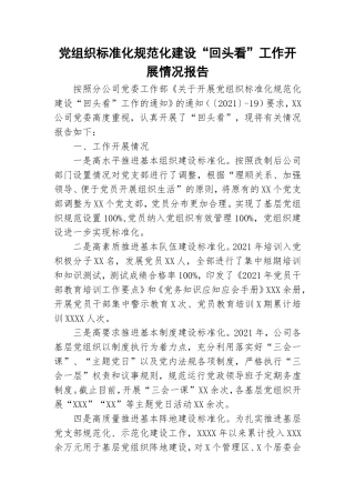 党组织标准化规范化建设“回头看”工作开展情况报告.doc