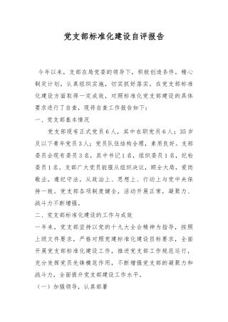 党支部标准化建设自评报告.docx