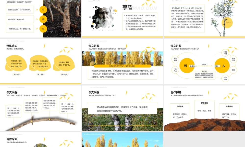 部编版初中语文八年级上册《白杨礼赞》公开课教学课件PPT模板下载.pptx