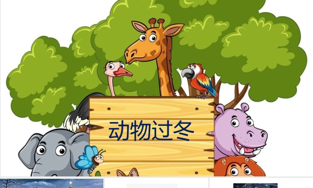 中班科学《动物过冬》第二版微课件.pptx
