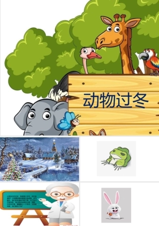 中班科学《动物过冬》第二版微课件.pptx