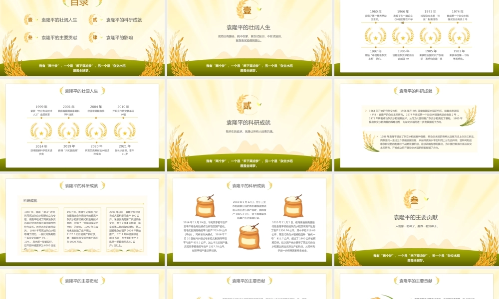 缅怀袁老袁隆平人物介绍PPT模板下载.pptx