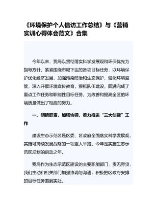 《环境保护个人信访工作总结》与《营销实训心得体会范文》合集.docx