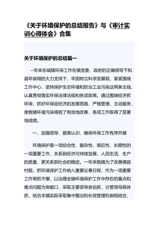 《关于环境保护的总结报告》与《审计实训心得体会》合集.docx