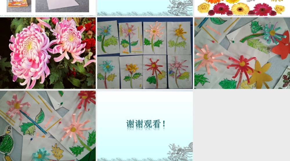 中班美术《菊花》微课件.ppt