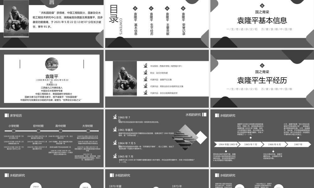 知识拓展袁隆平人物生平介绍PPT课件（带内容）.pptx