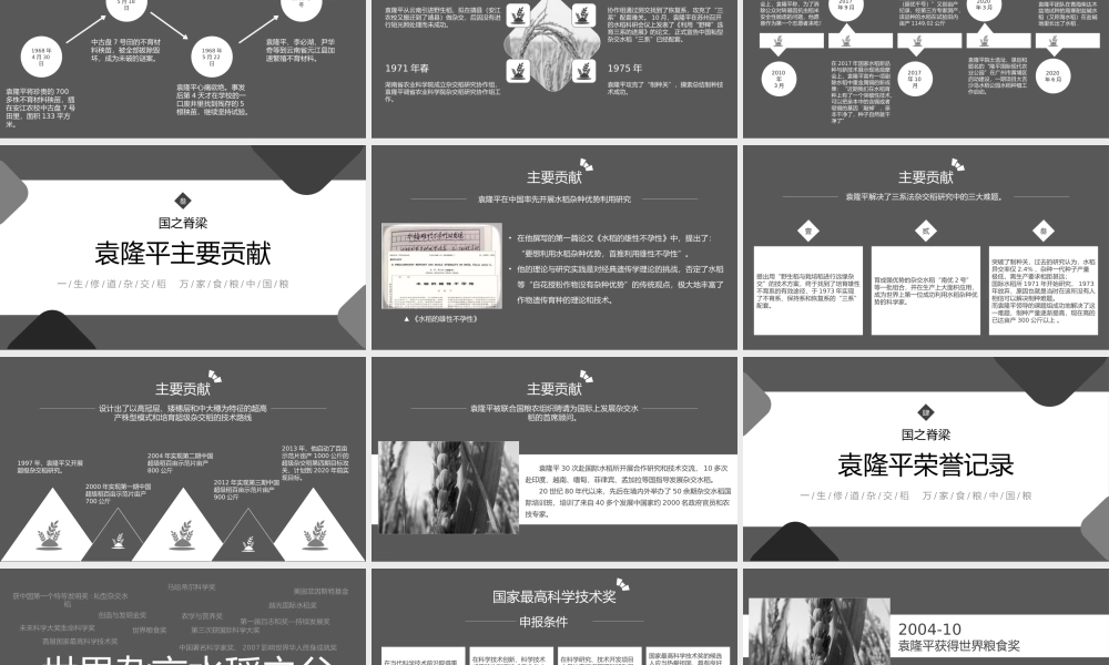 知识拓展袁隆平人物生平介绍PPT课件（带内容）.pptx