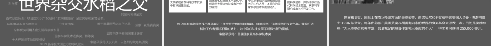 知识拓展袁隆平人物生平介绍PPT课件（带内容）.pptx