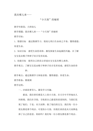 大班健康《“小天使”的秘密》微教案.docx