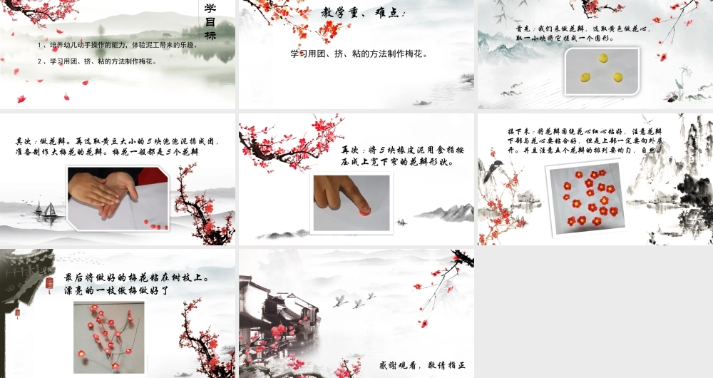 中班艺术《一支傲梅》微课件.pptx