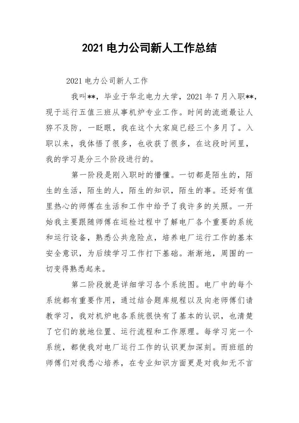 2021电力公司新人工作总结.docx_第1页