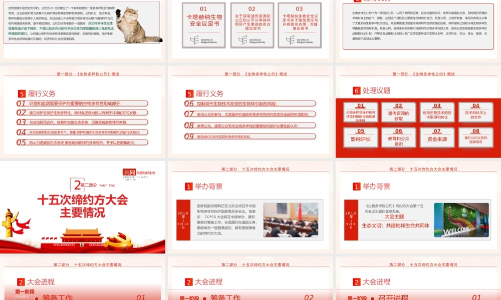 《生物多样性公约》缔约方大会第十五次会议PPT课件（带内容）.pptx