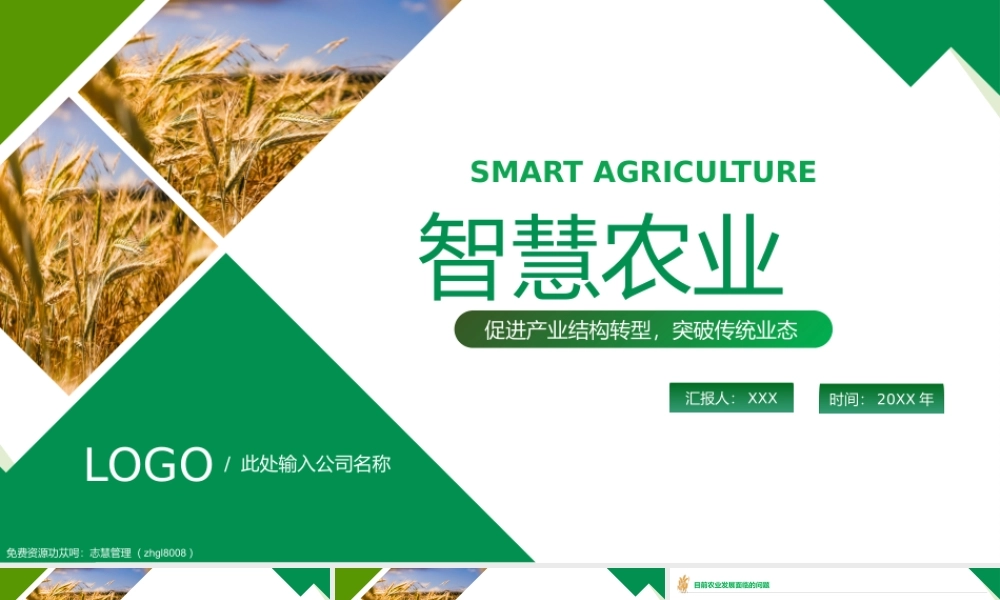 智慧农业-促进产业结构转型智慧农业规划PPT课件（带内容）.pptx
