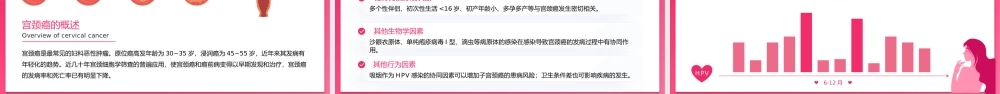 女性健康女性常见妇科疾病知识科普PPT课件（带内容）.pptx