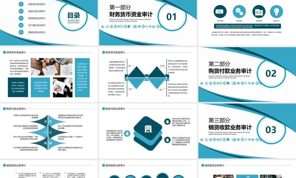 投资货币财务资金审计动态PPT课件（带内容）.pptx