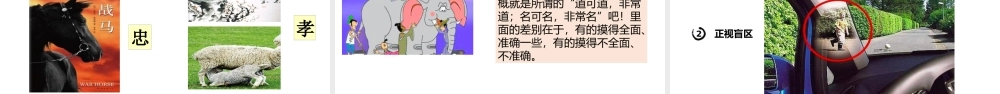 2021-2022学年高考历史复习史料实证素养培养.pptx