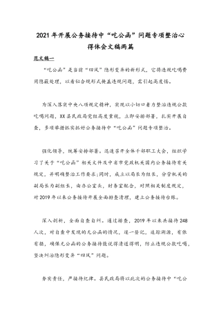 2021年开展公务接待中“吃公函”问题专项整治心得体会文稿两篇.docx