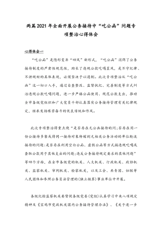 两篇2021年全面开展公务接待中“吃公函”问题专项整治心得体会.docx