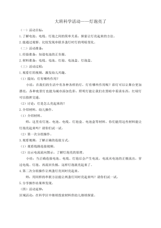 大班科学《灯泡亮了》微教案.docx