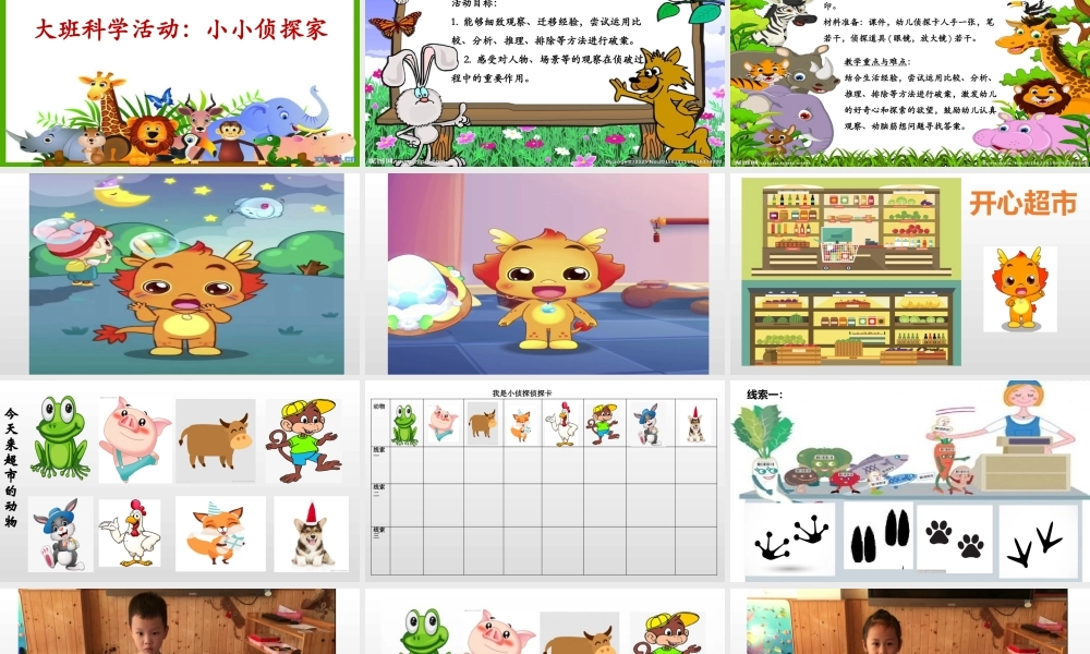大班科学《小小侦探家》微课件.pptx