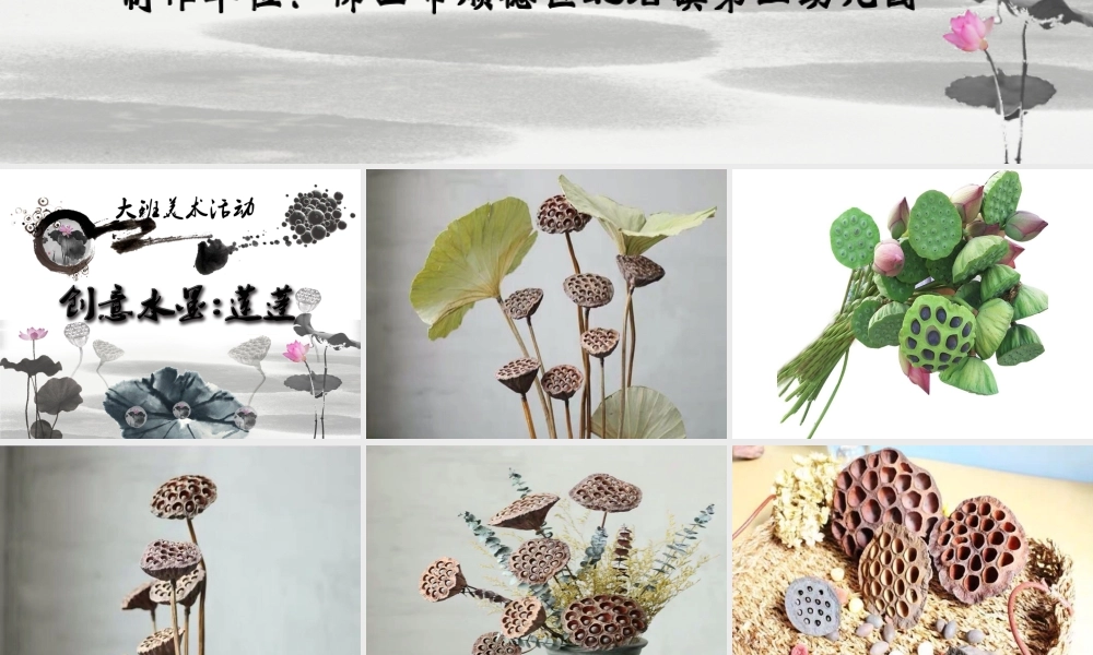 大班美术《创意水墨——莲蓬》微课件.ppt