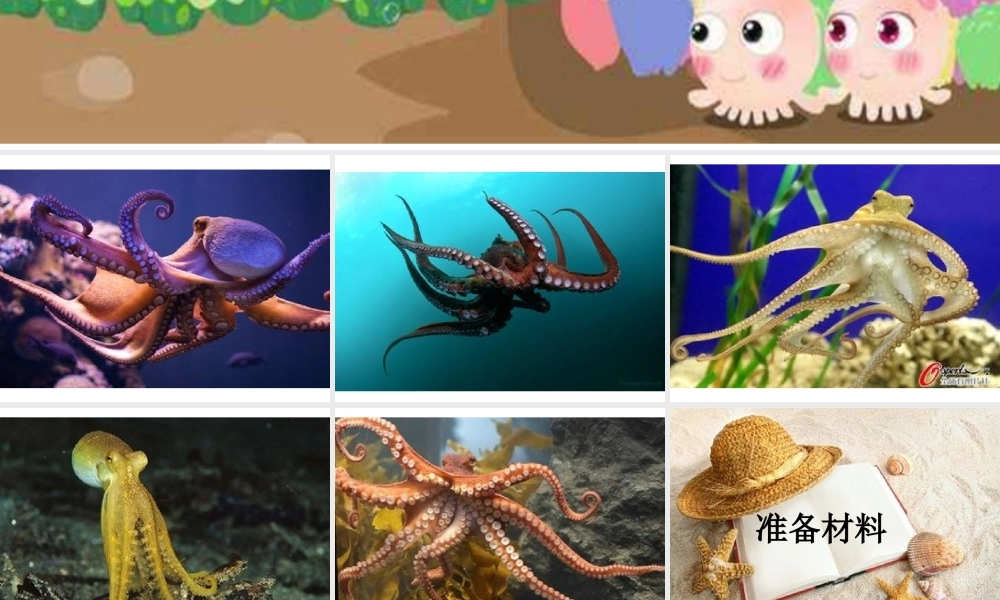 中班美术《可爱的八爪鱼》微课件.ppt
