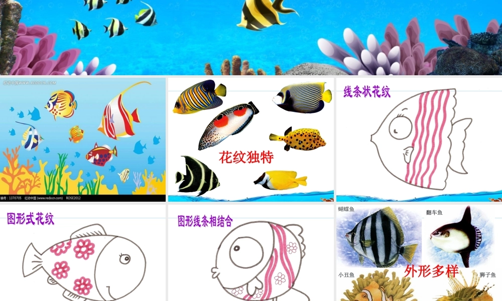 小班美术《“鱼”众不同》微课件.ppt