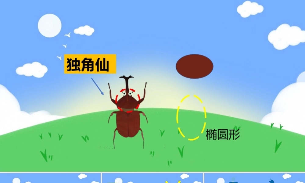 中班科学《揭秘独角仙》微课件1.pptx