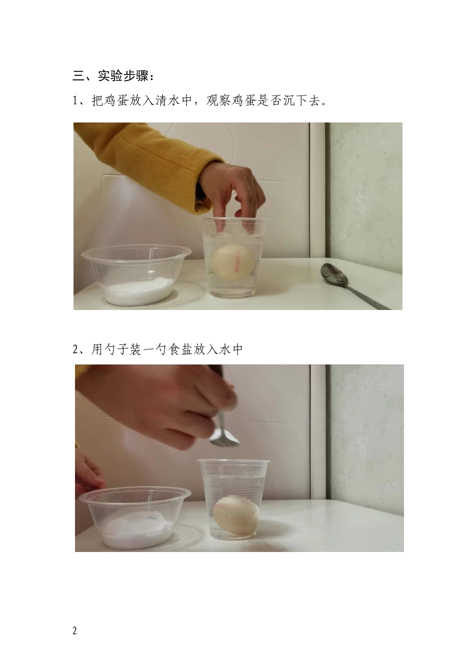 大班科学《让鸡蛋漂起来》微教案.docx_第2页