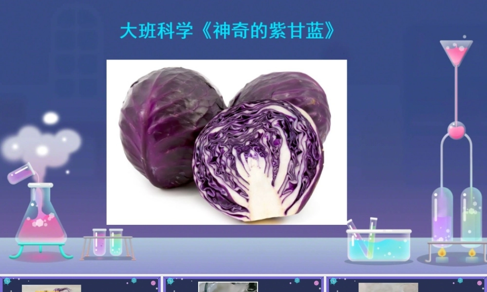 大班科学《神奇的紫甘蓝》微课件.pptx