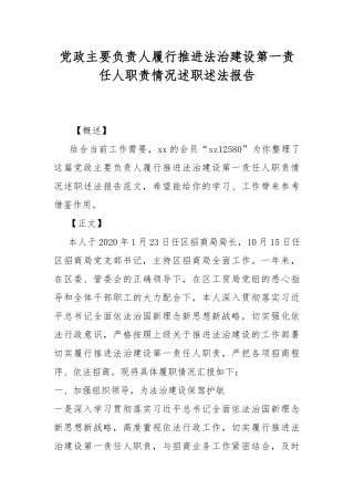 党政主要负责人履行推进法治建设第一责任人职责情况述职述法报告.docx