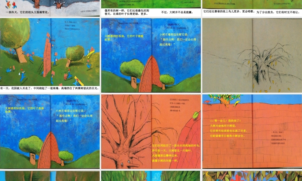 大班绘本《两棵树》微课件.ppt