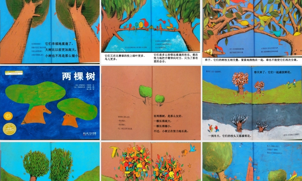 大班绘本《两棵树》微课件.ppt