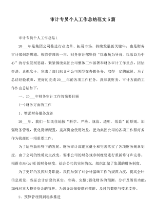 审计专员个人工作总结范文5篇.docx