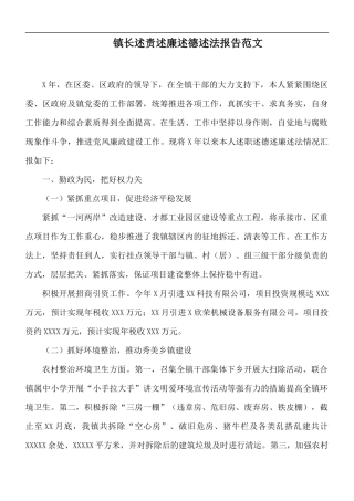 镇长述责述廉述德述法报告范文.docx