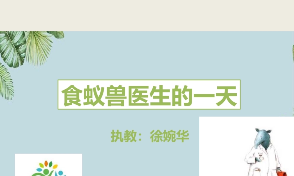 大班语言《食蚁兽医生的一天》微课件.pptx