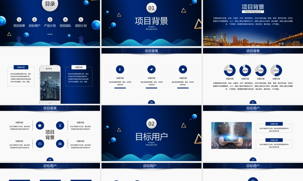互联网科技项目商业计划书PPT模板.pptx