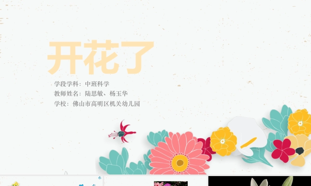 中班科学《开花了》微课件.pptx