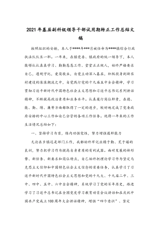 2021年基层副科级领导干部试用期转正工作总结文稿.docx