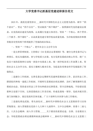 大学党委书记抓基层党建述职报告范文.docx