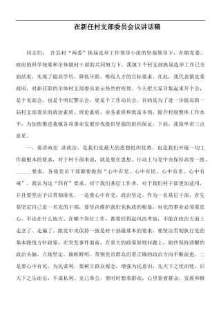 在新任村支部委员会议讲话稿.docx