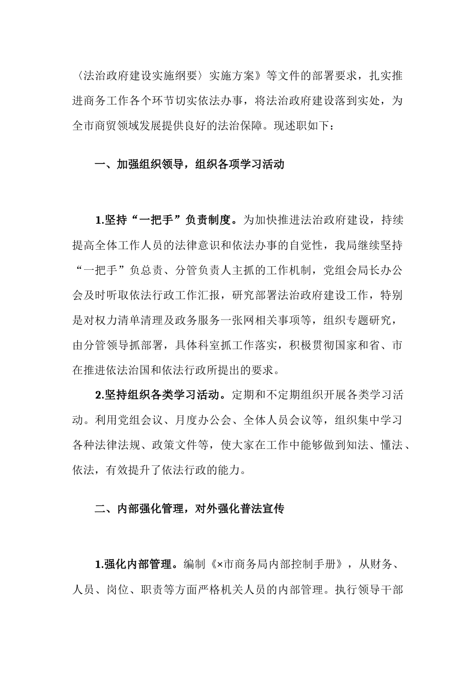 履行推进法治建设第一责任人年终述职报告.docx_第2页