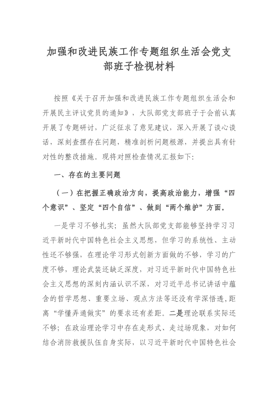 加强和改进民族工作专题组织生活会党支部班子检视材料.docx_第1页