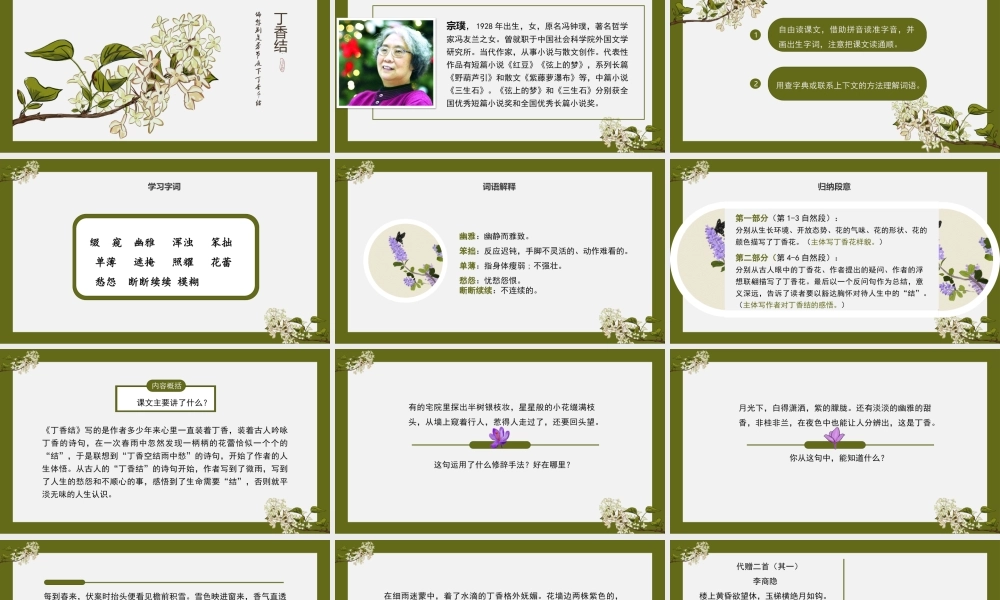 小学语文部编版六年级《丁香结》教育教学PPT课件（带内容）.pptx