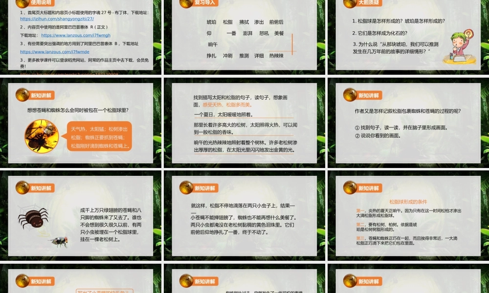 小学语文部编版四年级下册第二课时《琥珀》教育教学PPT课件（带内容）.pptx