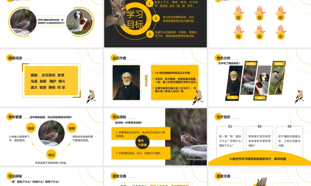 部编版小学语文四年级上册《麻雀》PPT课件（带内容）.pptx