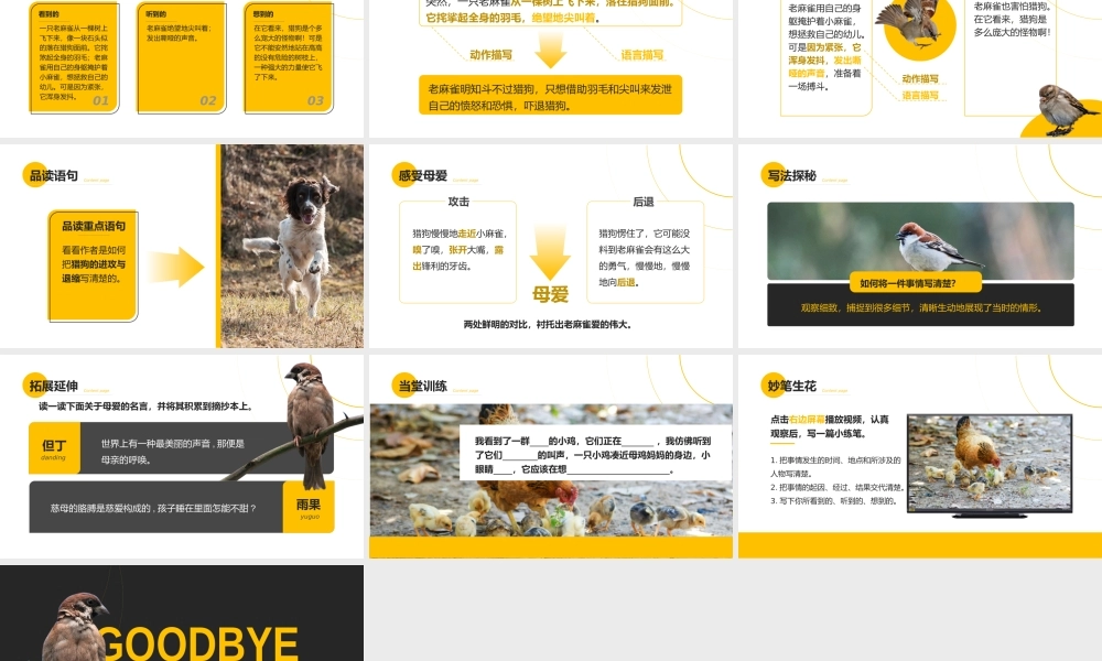 部编版小学语文四年级上册《麻雀》PPT课件（带内容）.pptx