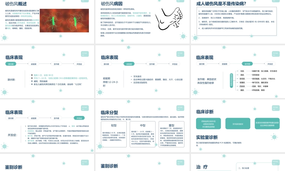 破伤风诊治经验分享PPT课件（带内容）.pptx