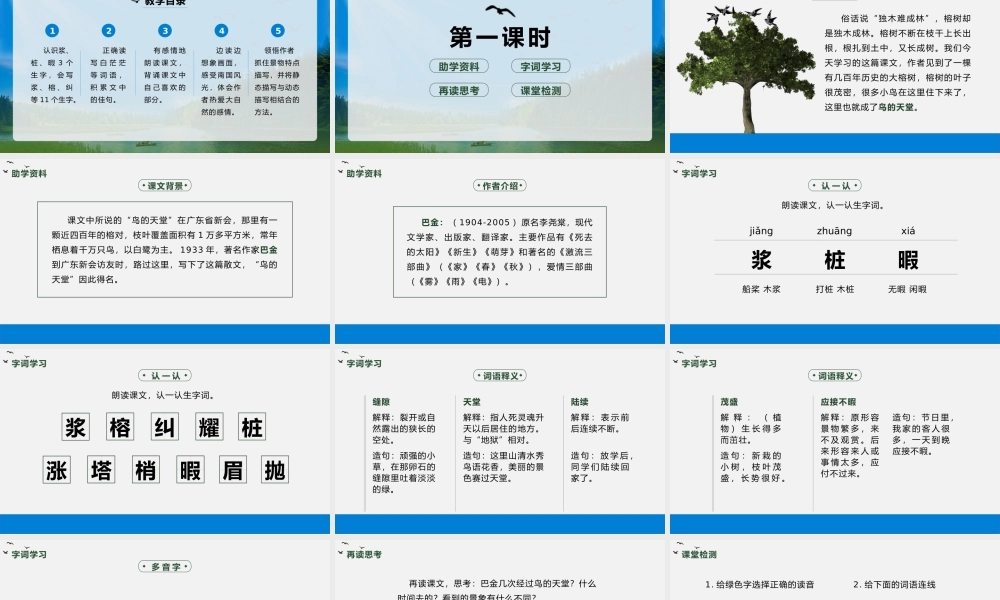 人教版语文五年级上册鸟的天堂教学PPT课件（带内容）.pptx